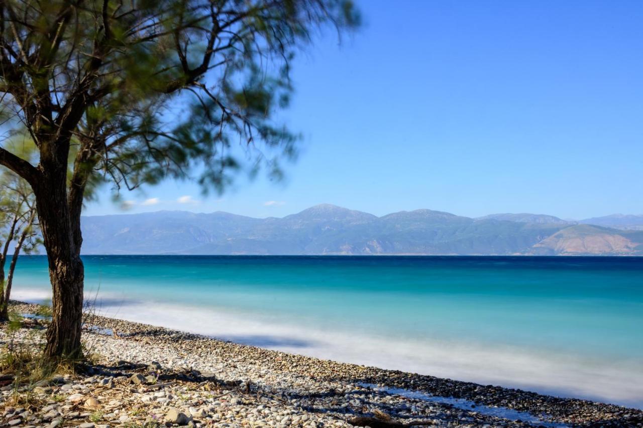 Dhiyellótika Oliva Holiday Homes מראה חיצוני תמונה